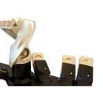 tungsten teeth and pilots