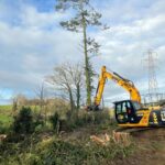 Excavator with Koala Tree Shear and Tree