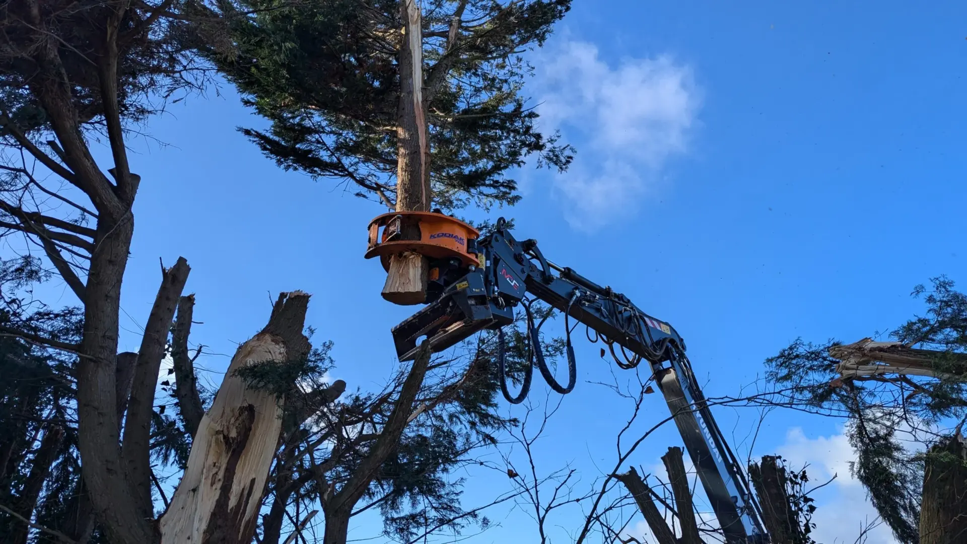 MDE Grapple Saw