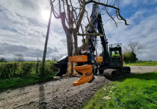 MDE Koala Tree Shear with collector